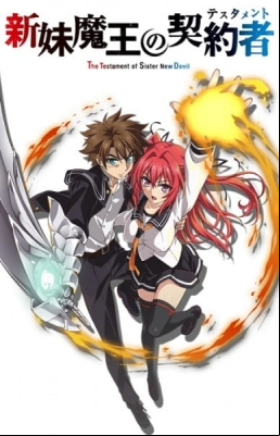 The Testament of Sister New Devil OVA